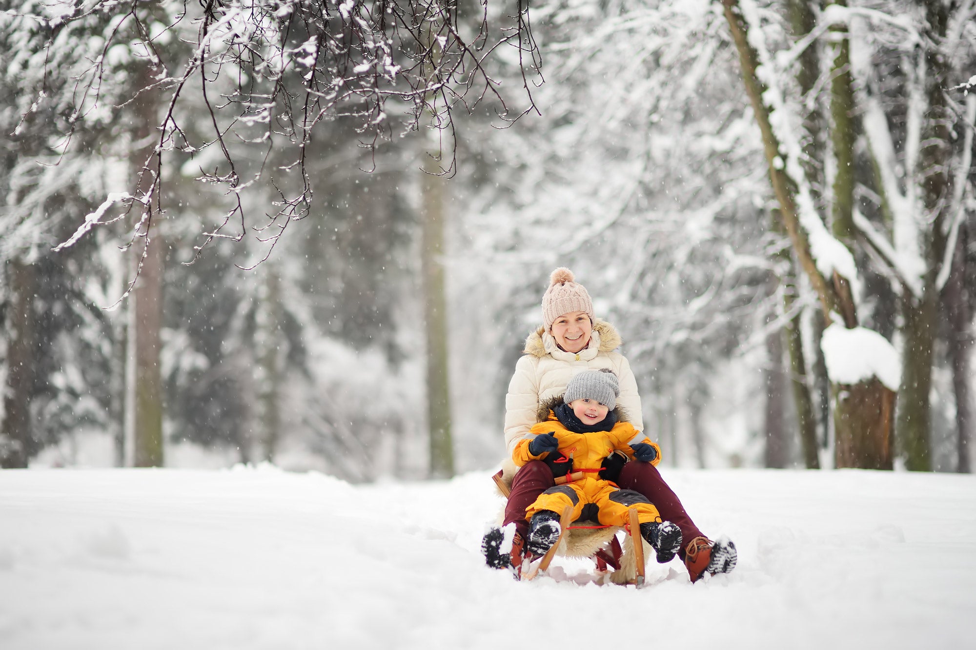 web_iStock-1069798598.jpg
