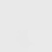 Copper Allsport Quarter