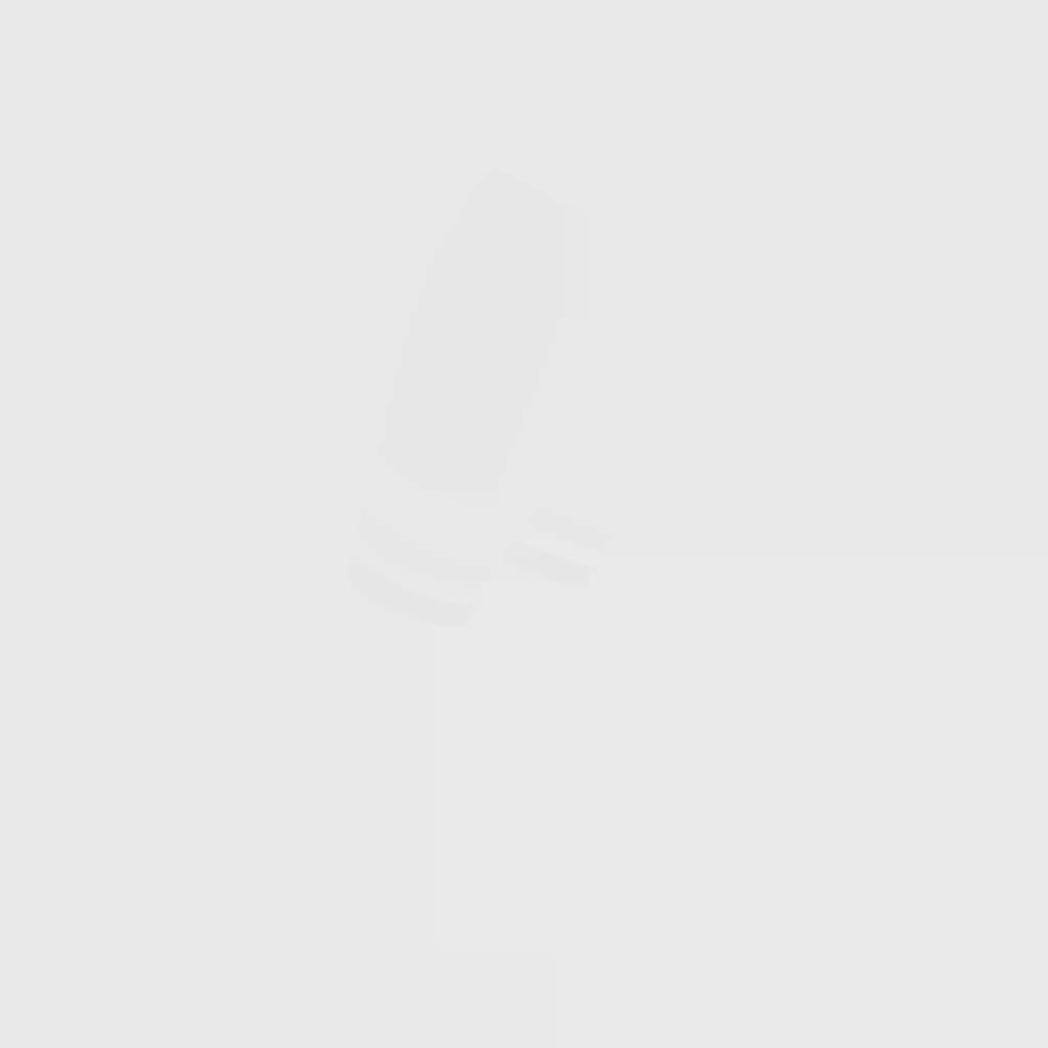 Fashion Sport - 2er Pack