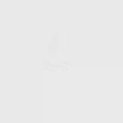 Fashion Sport - 2er Pack