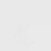 Quarter Sport 2er Pack