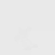 Trekking Quarter 2er Pack