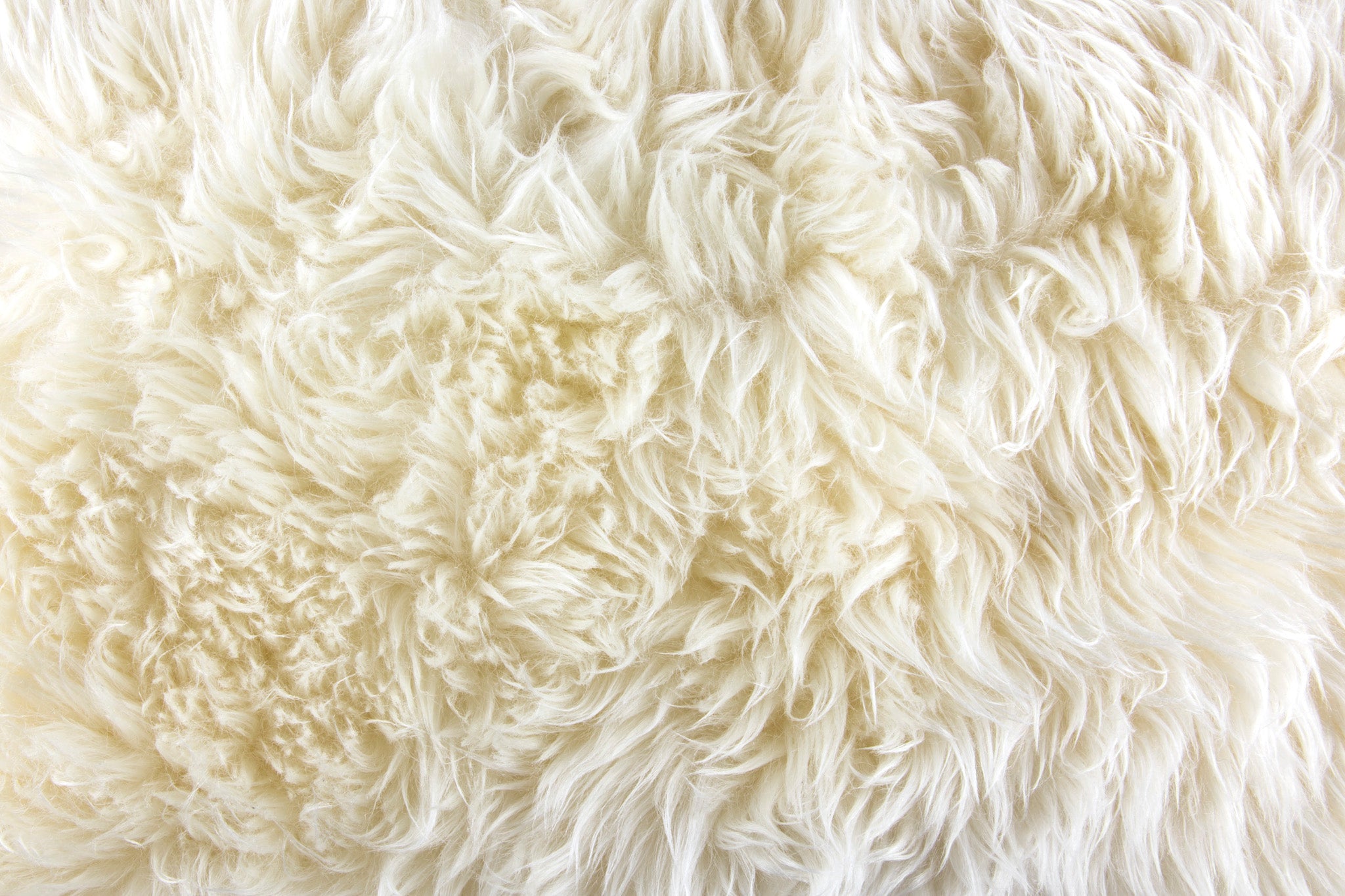rohner_wool.jpg