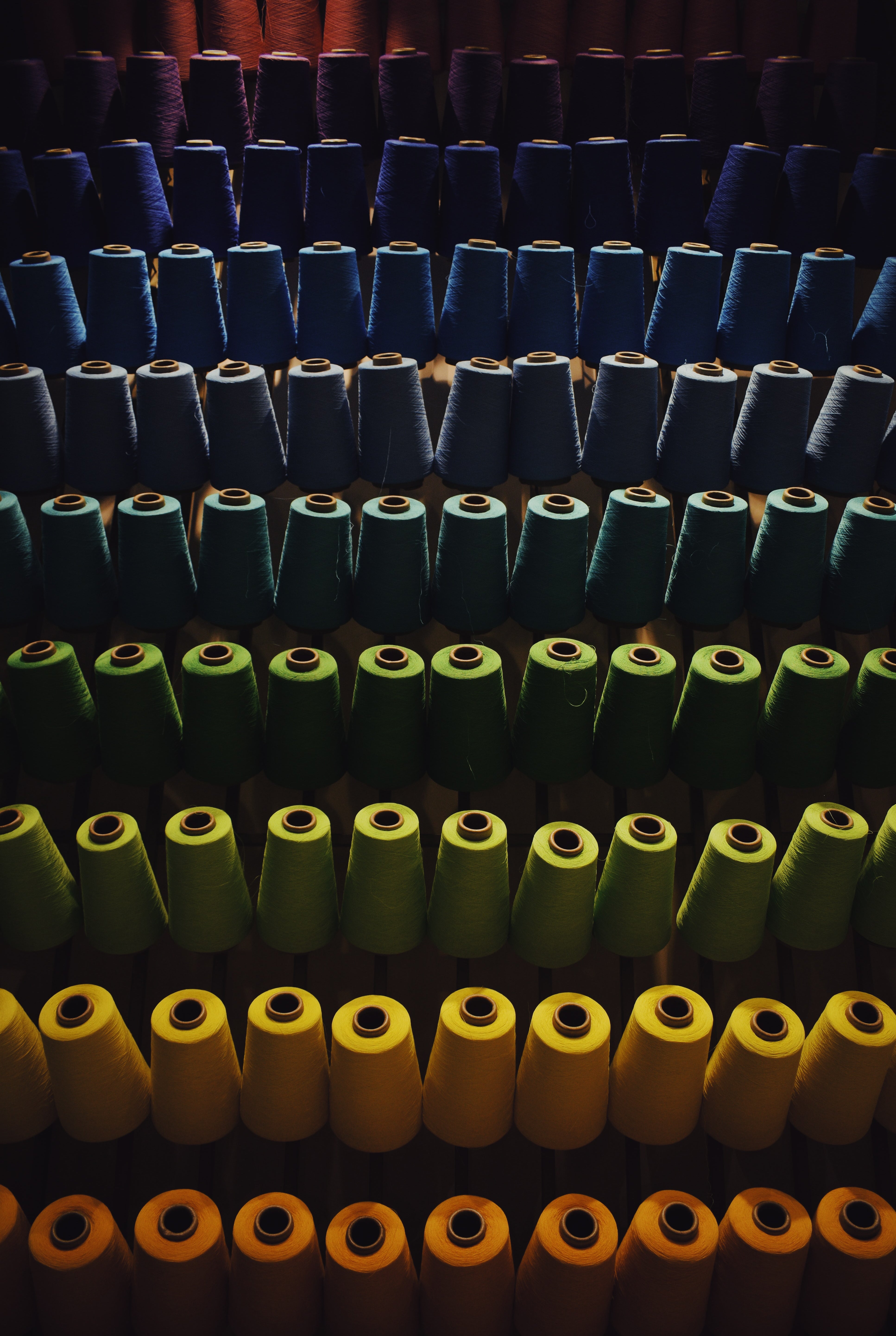 vishal-banik-V6T99SnUCyA-unsplash_c82028de-e6da-42b5-b2c7-2c8418d13808.jpg